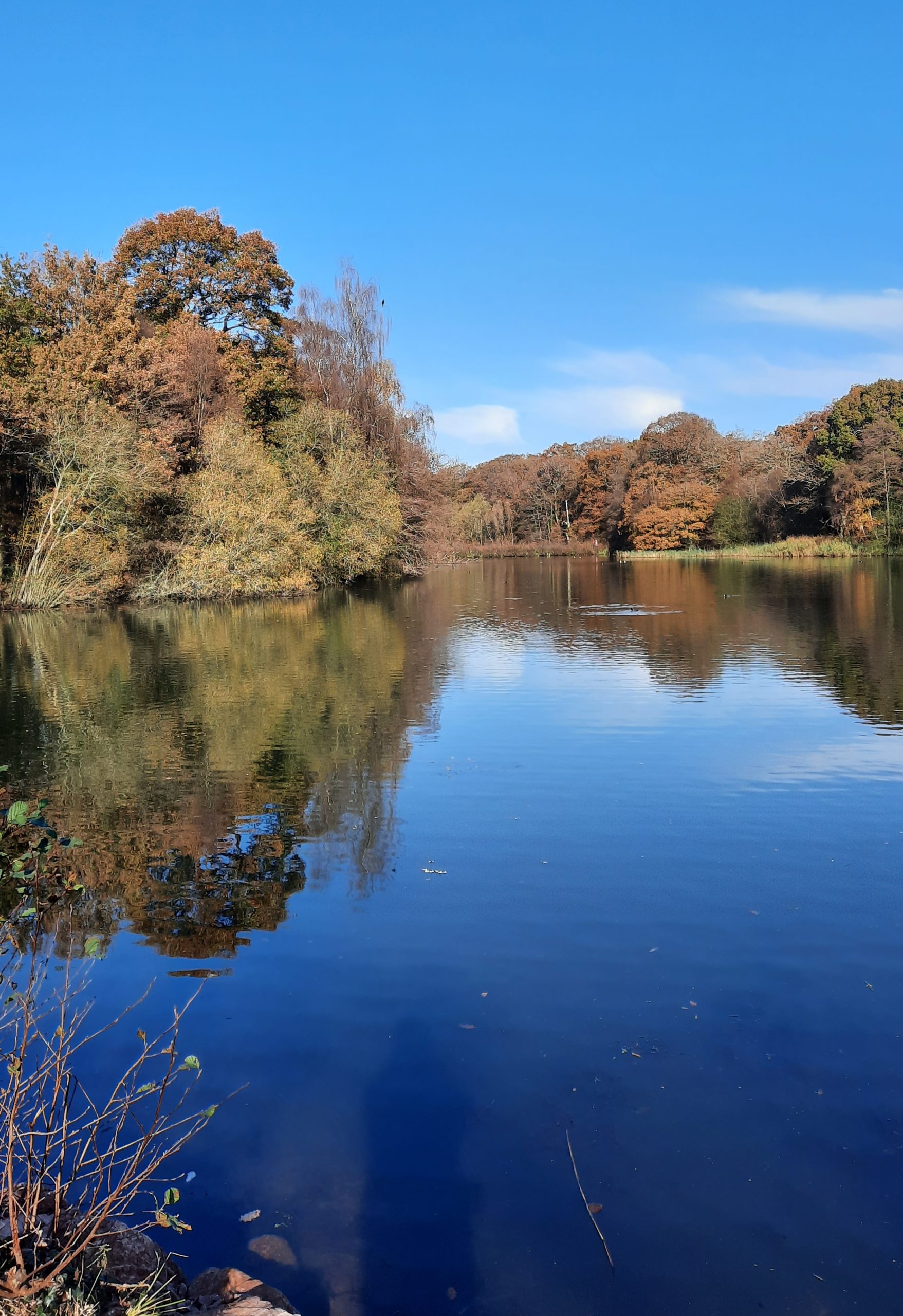 Cannop upper pond